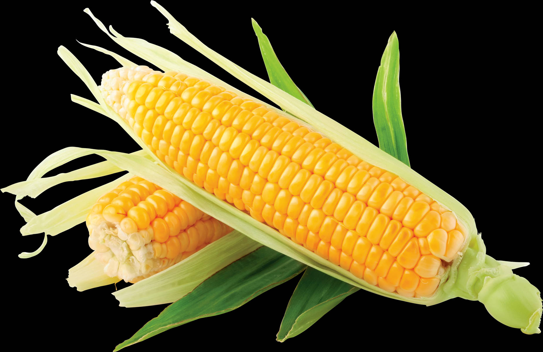 Yellow Corn With Leaves