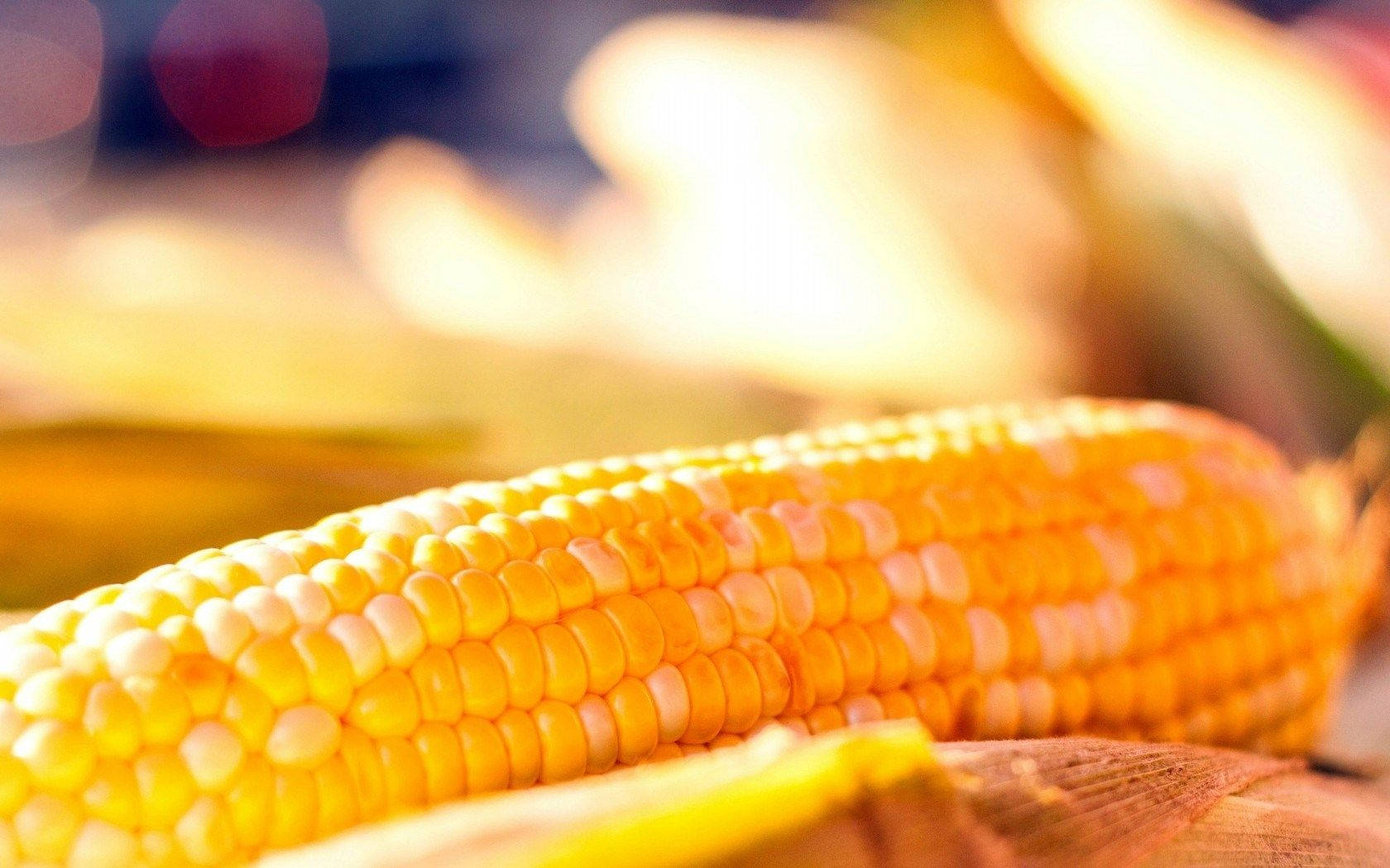 Yellow Corn With White Kernel Background