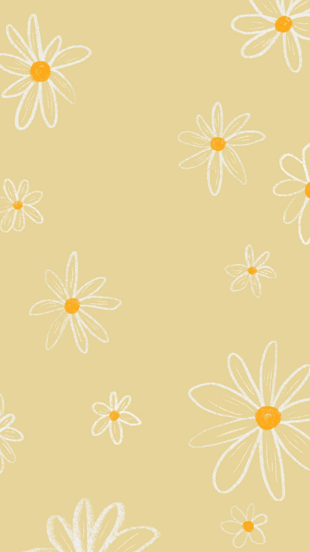 Yellow Daisy Boho Background
