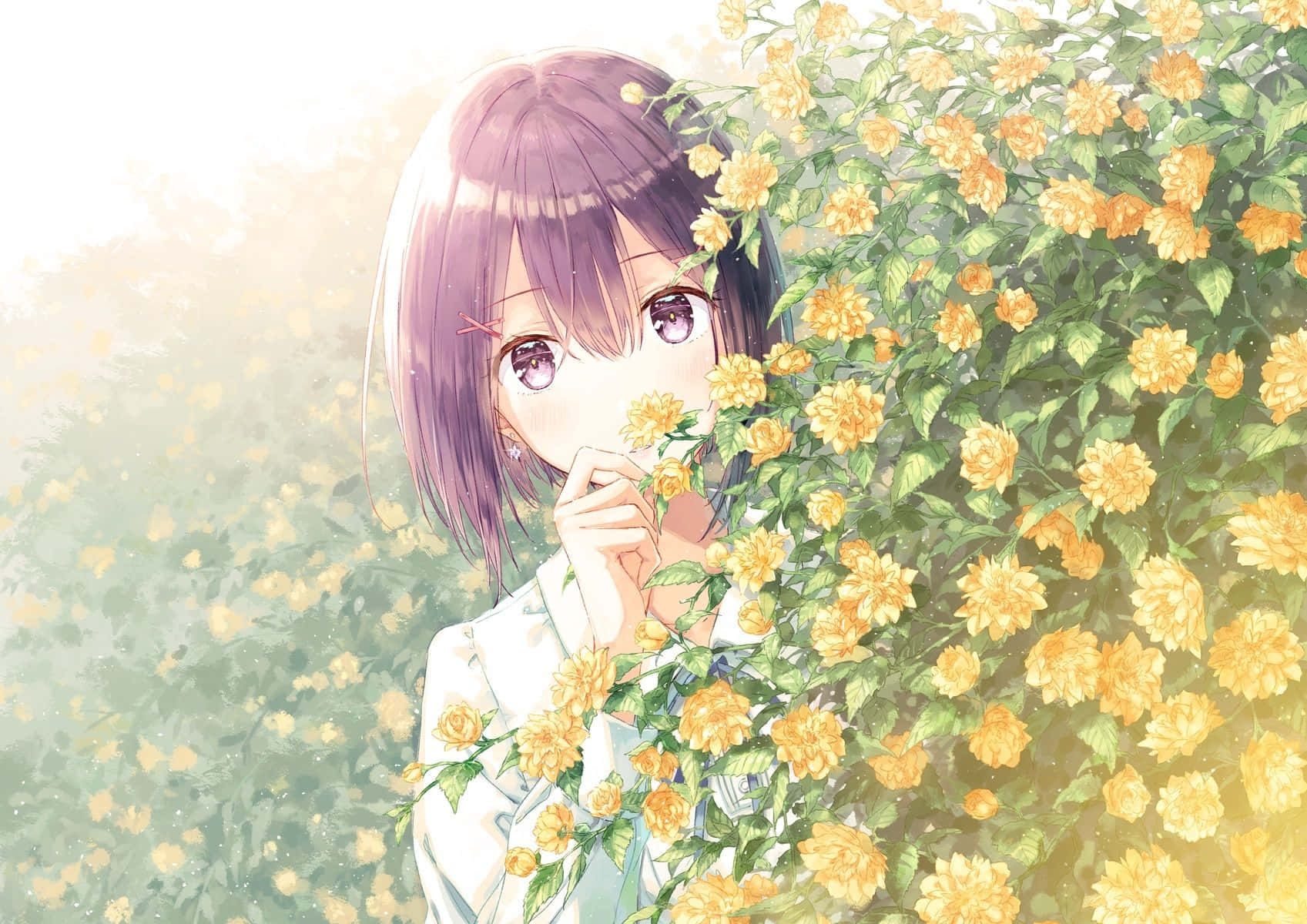 Yellow Flowers Anime Girl Background