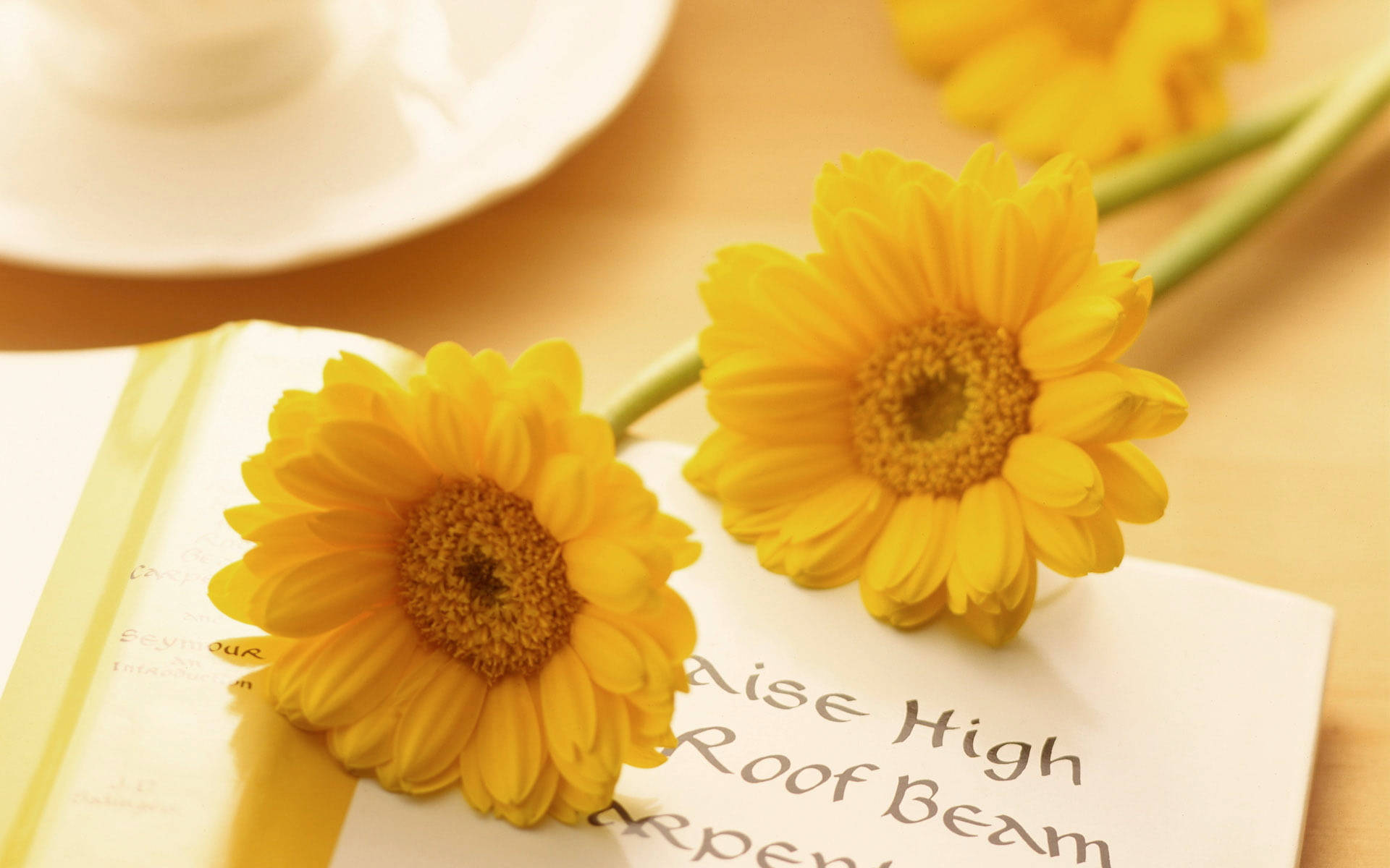 Yellow Flowers On Cute Writing Background