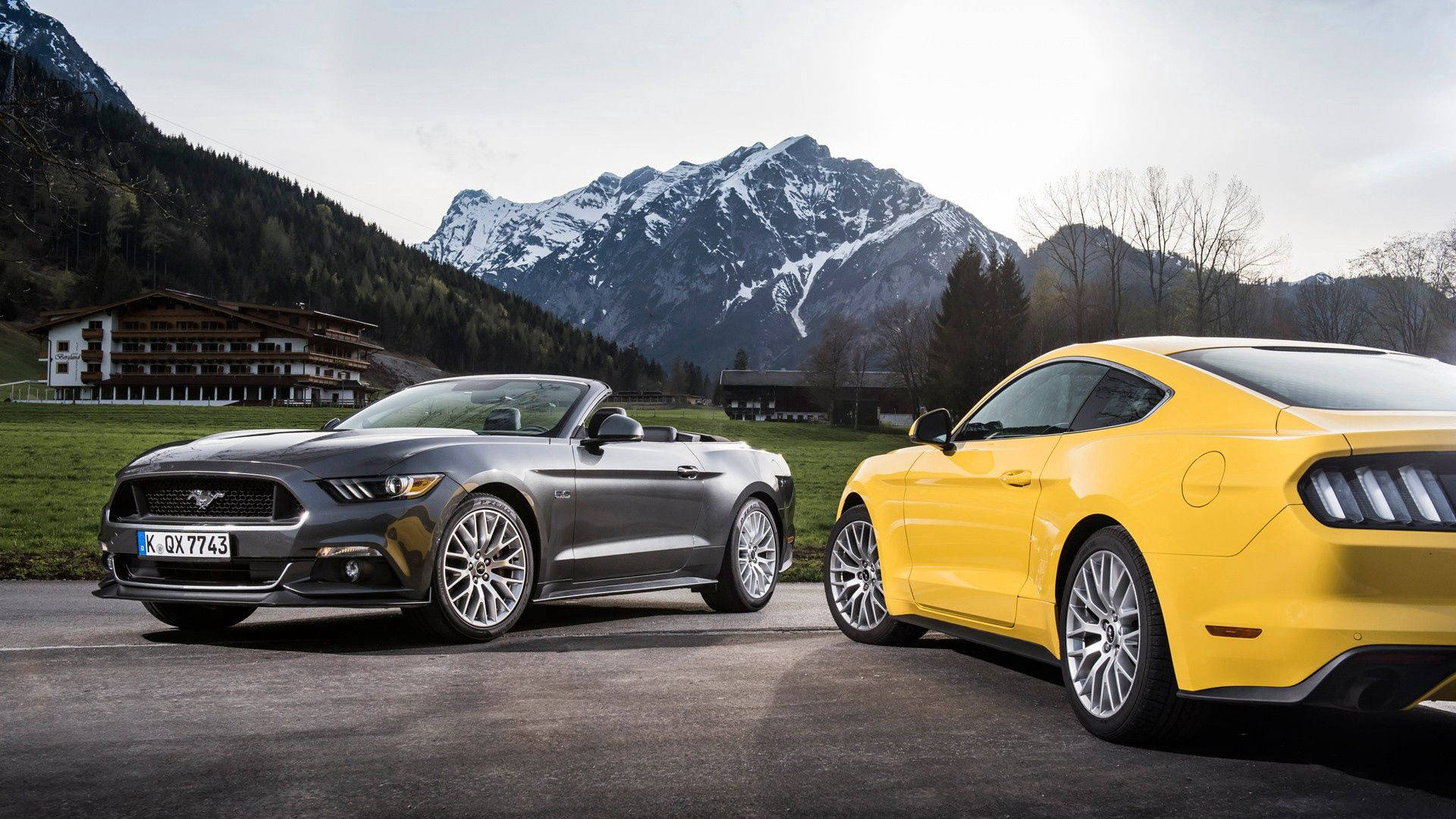 Yellow Grey Convertible Ford Mustangs Background