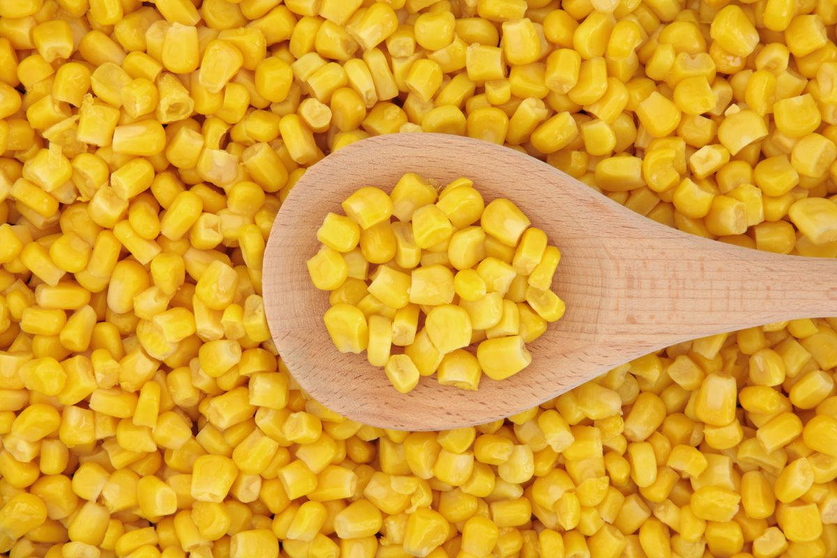 Yellow Kernel Corns On Ladle Background