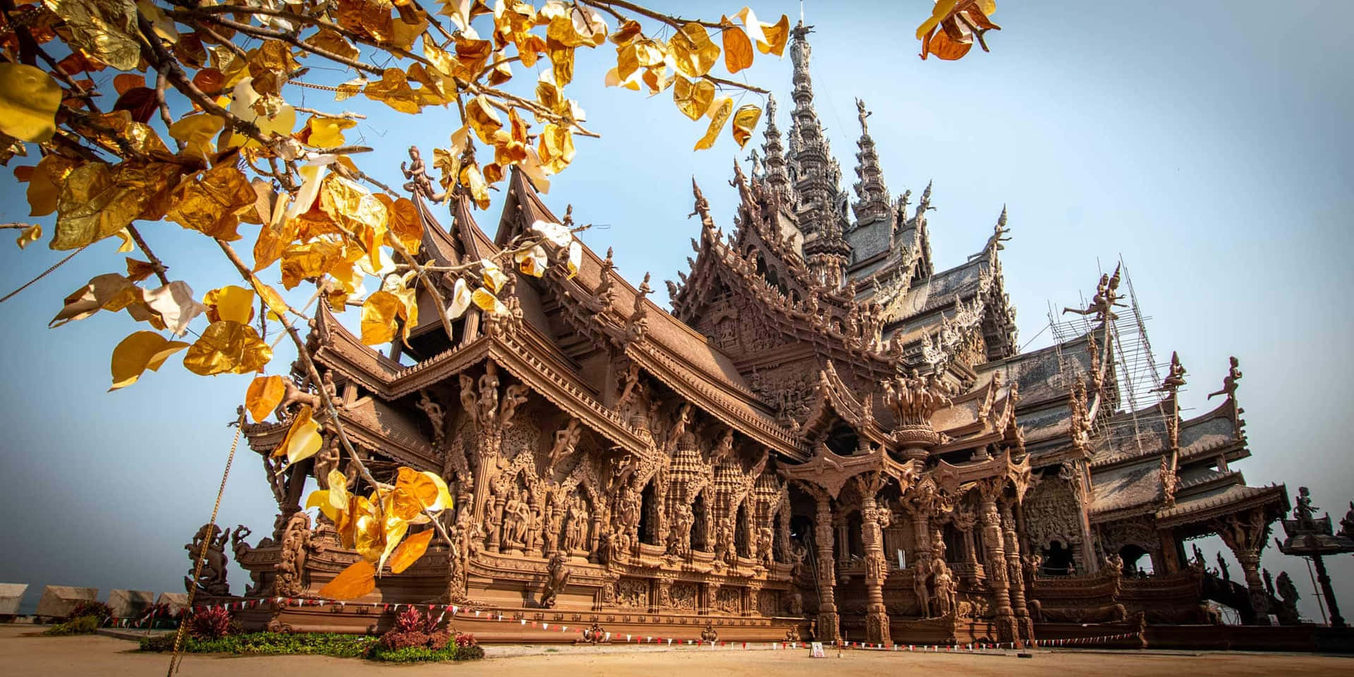 Yellow Leaves Growing Near The Sanctuary Of Truth Background