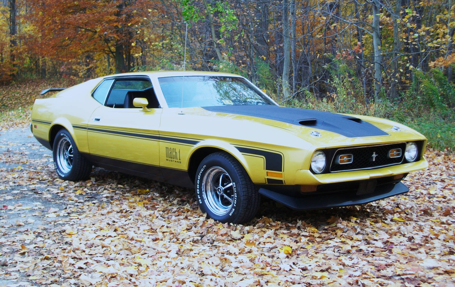 Yellow Mach 1 Mustang Hd Background