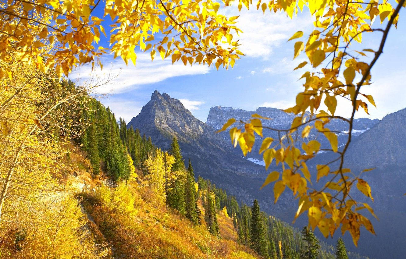 Yellow Montana Mountain