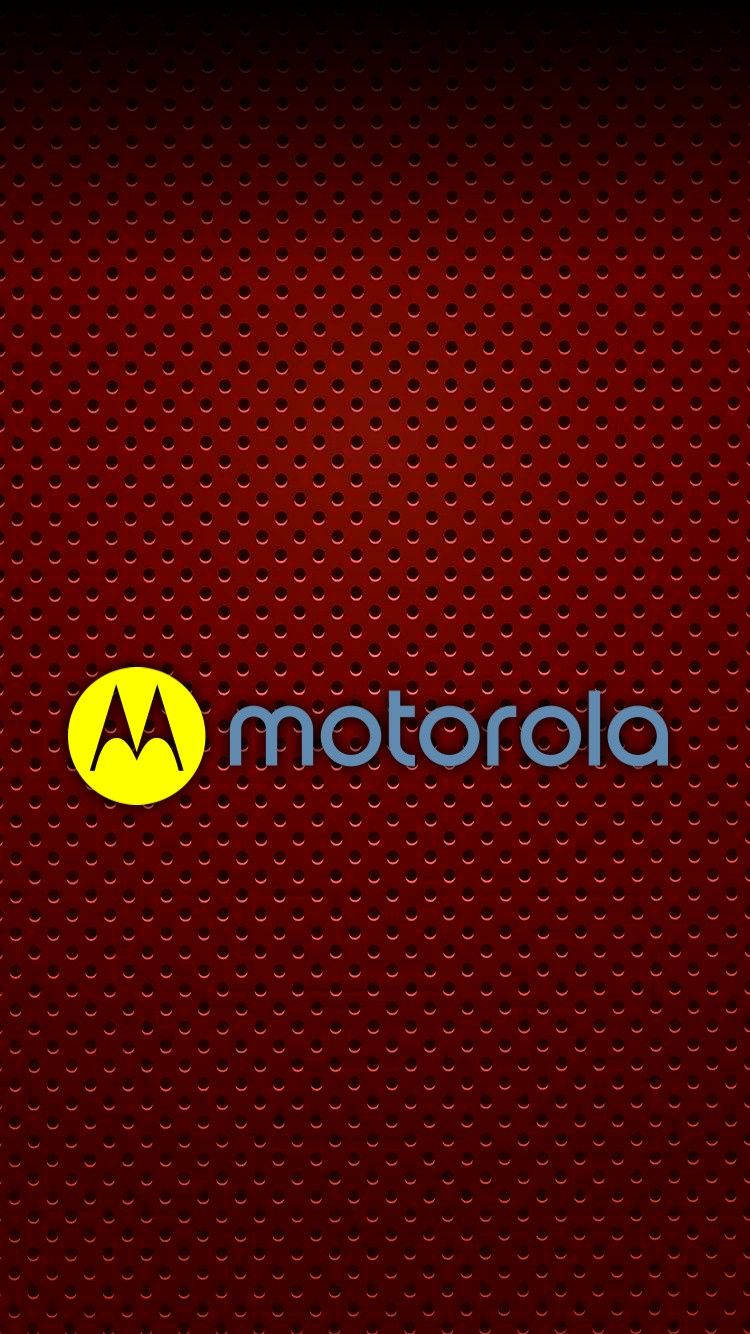 Yellow Motorola In Maroon