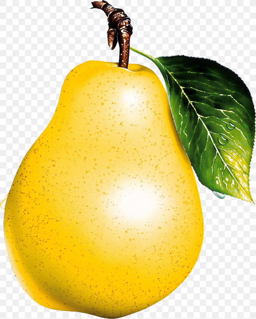 Yellow One Pear Fruit