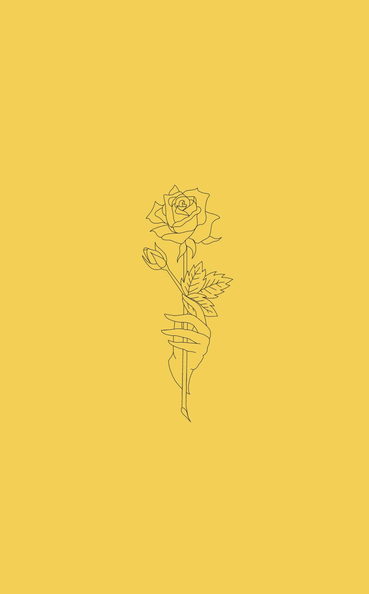 Yellow Rose Aesthetic Sketches Background