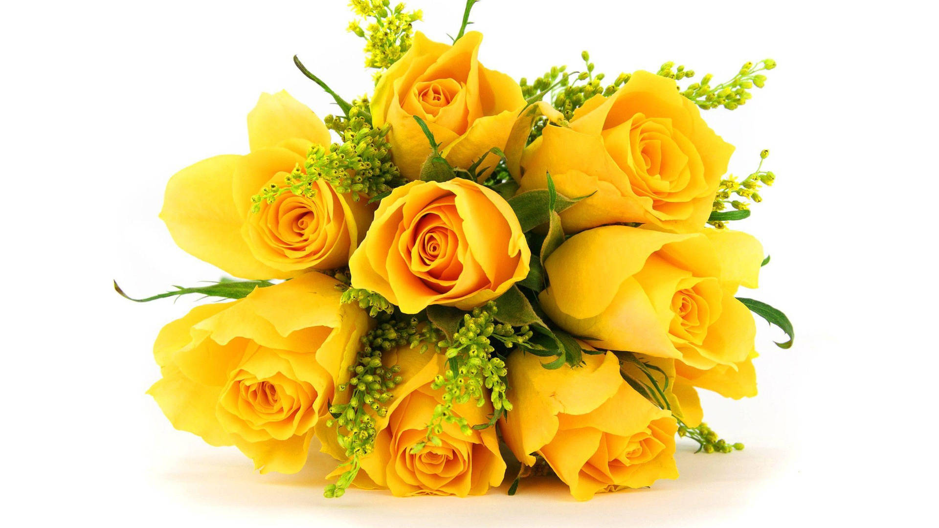 Yellow Rose Bridal Background