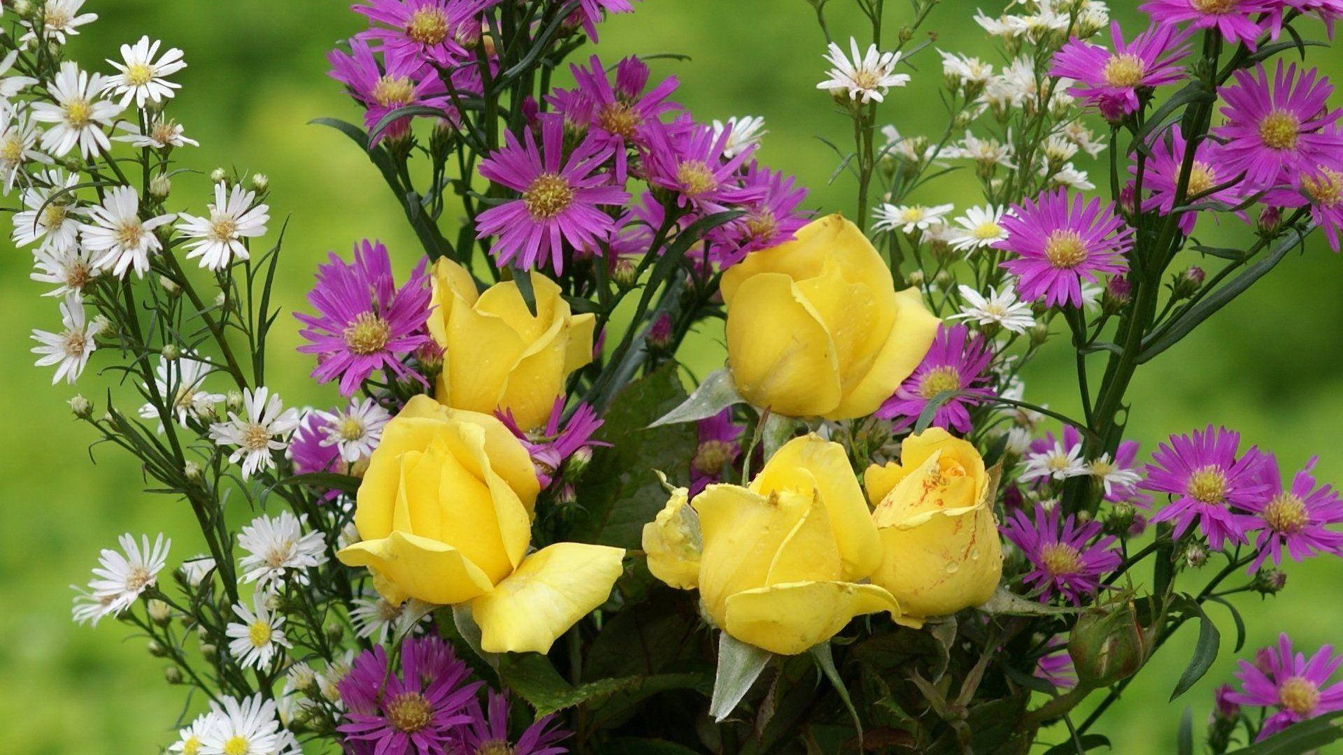 Yellow Rose With Wildflowers