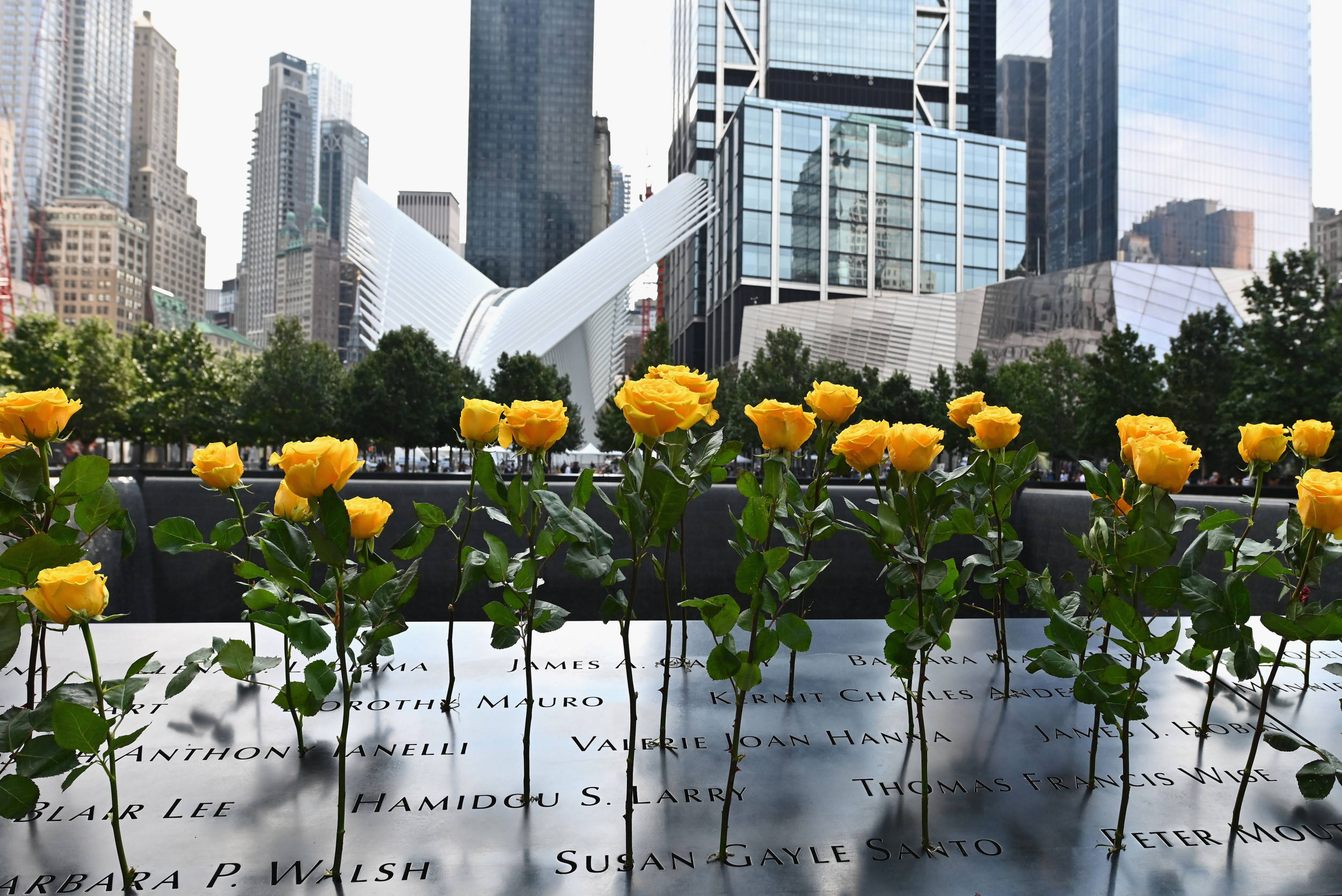 Yellow Roses At 911 Memorial Background