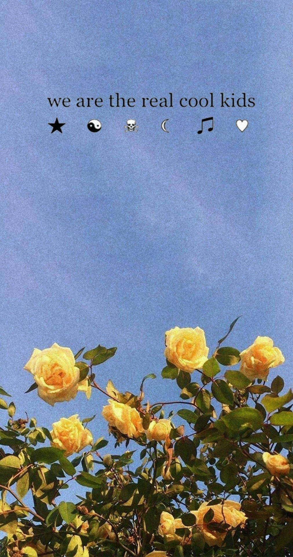Yellow Roses Blue Aesthetic Tumblr Background