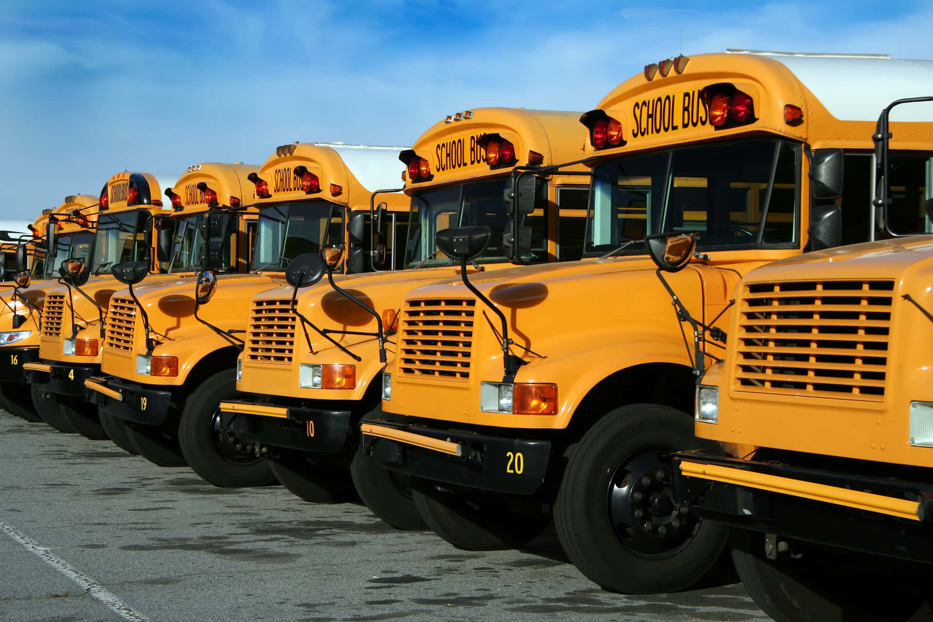 Yellow School Bus Feet On Parking Background