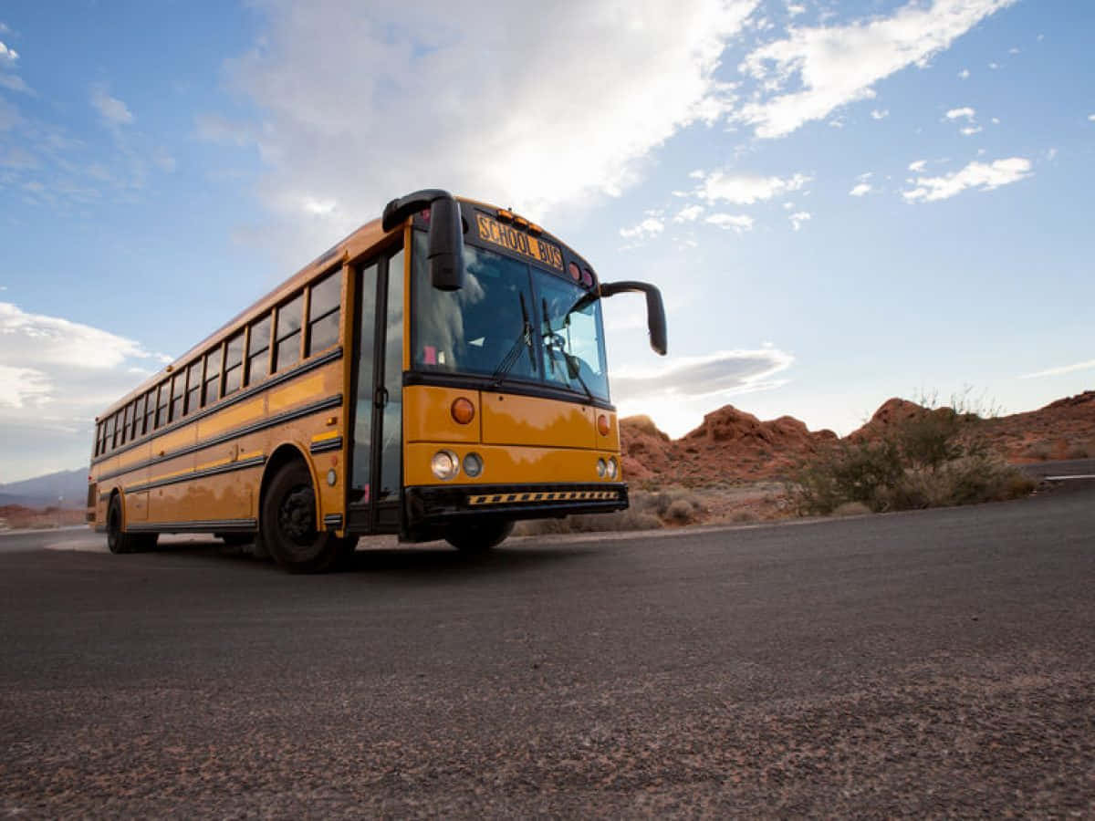 Yellow School Bus Low Angle Background