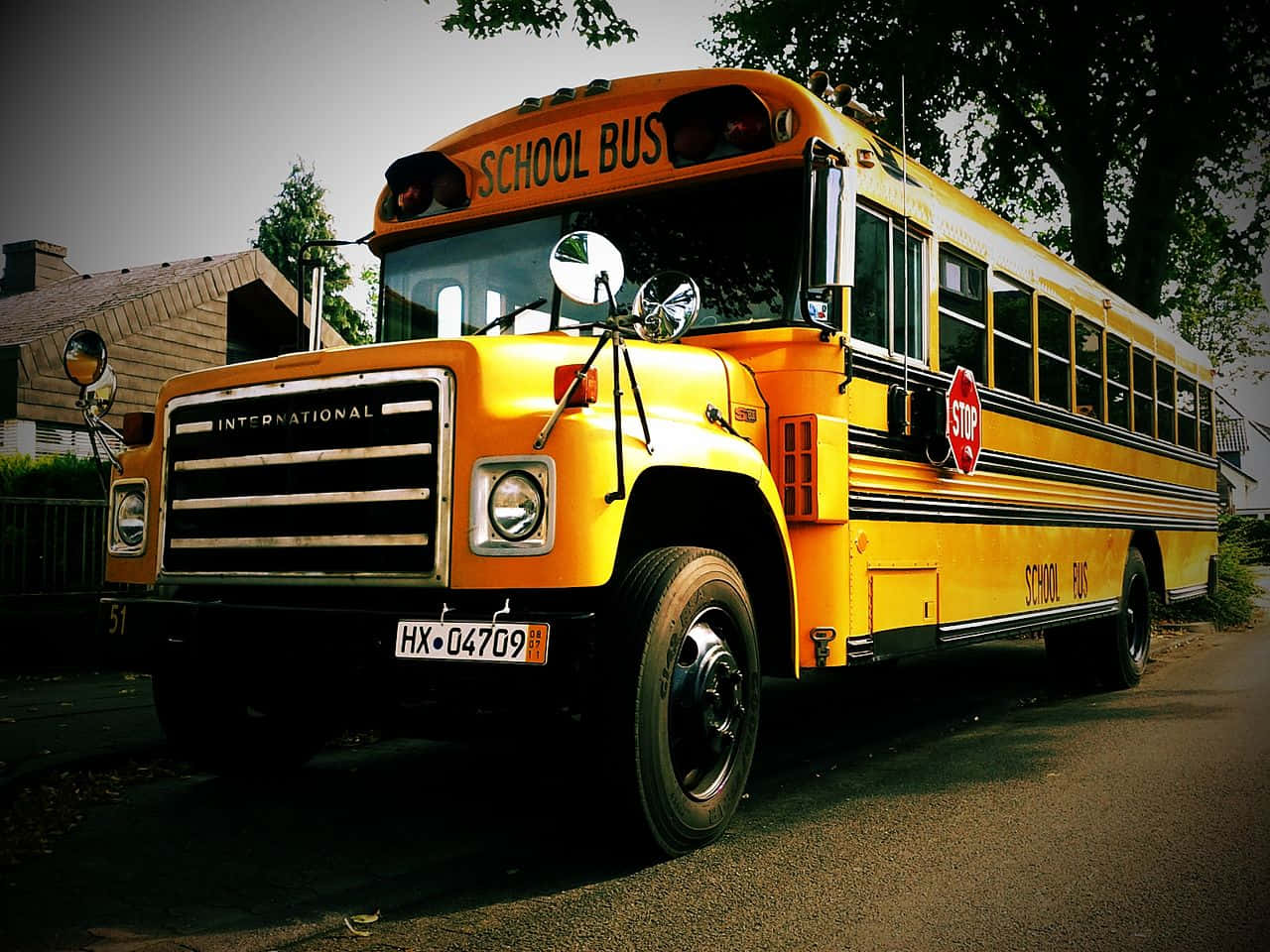 Yellow School Bus Parking In The Campus