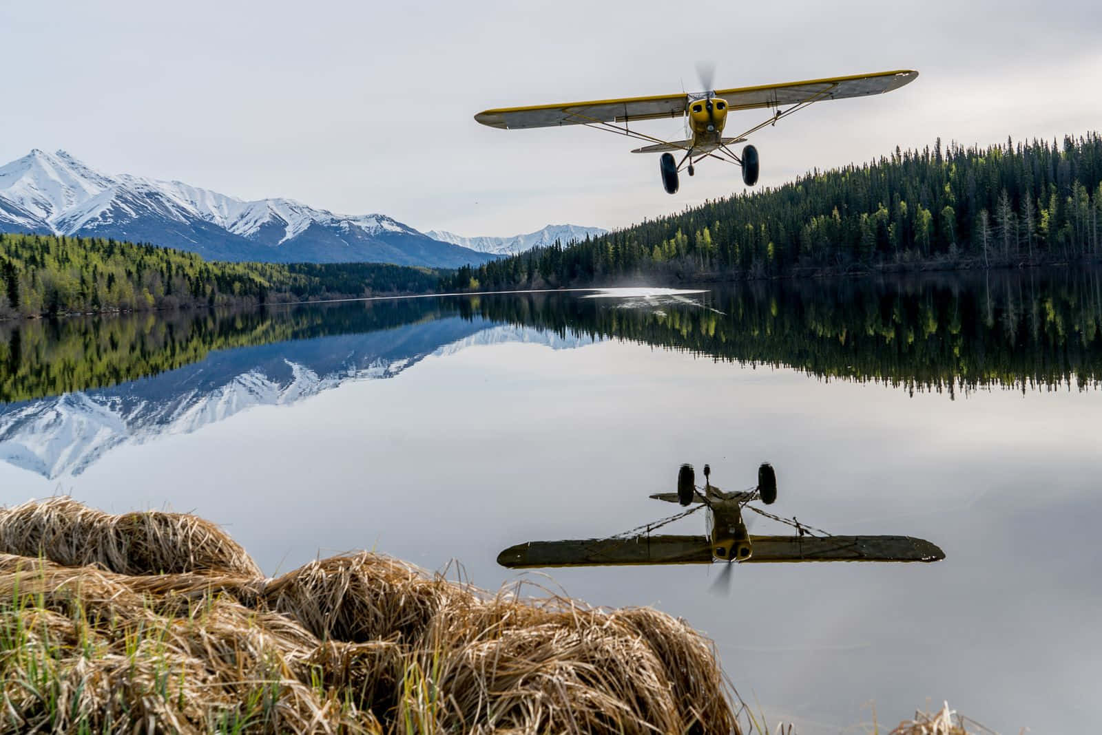 Yellow Small Airplane Over Lake Background