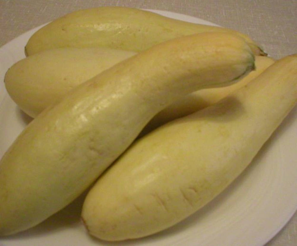 Yellow Squash Fruits On A White Plate Background