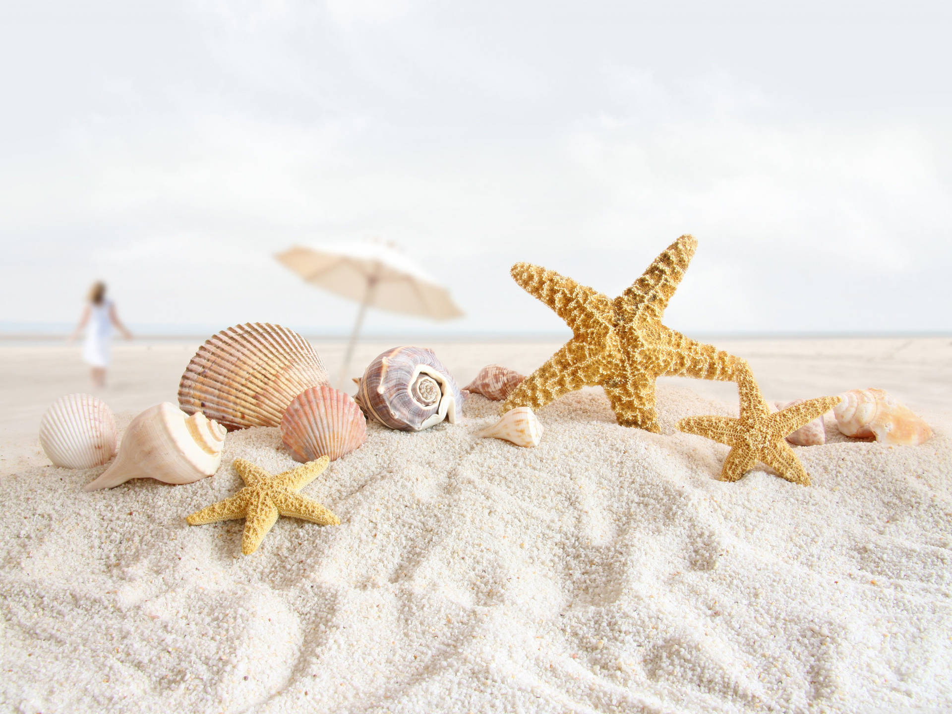 Yellow Starfish And Shells Background