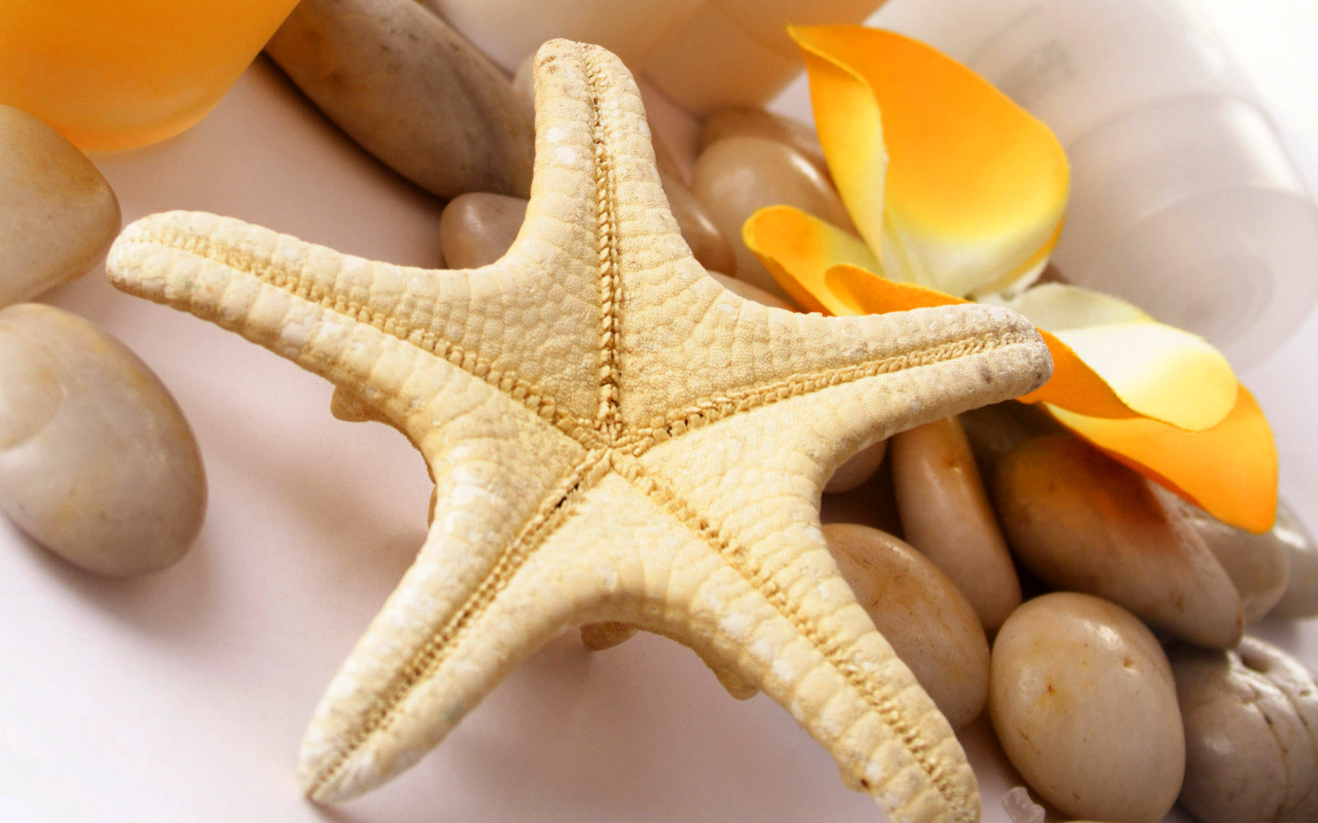 Yellow Starfish And Stones Background