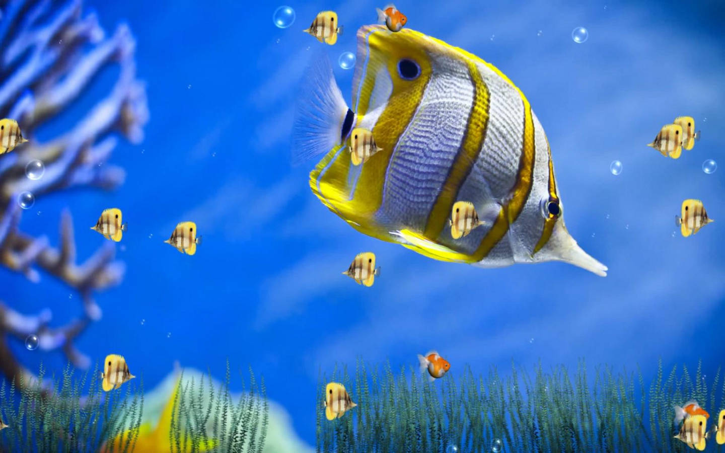 Yellow-striped Cool Fishes Background