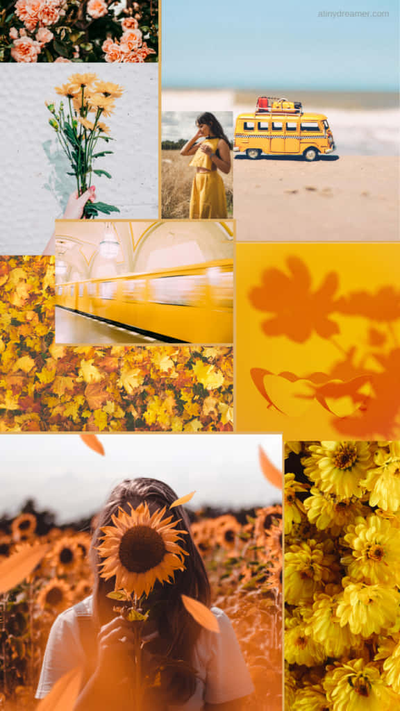 Yellow Sunflower Aesthetic: Embrace The Brightness Of Nature Background