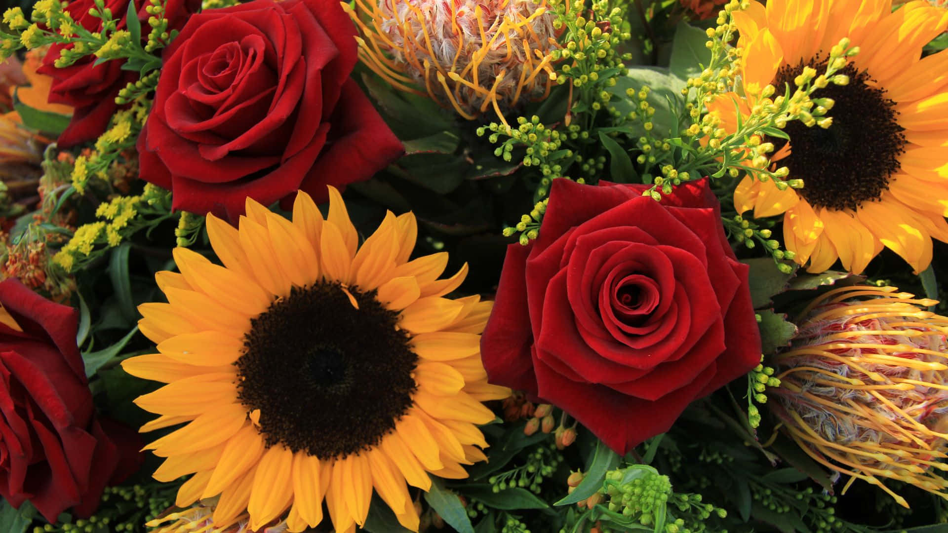 Yellow Sunflowers And Red Roses Background