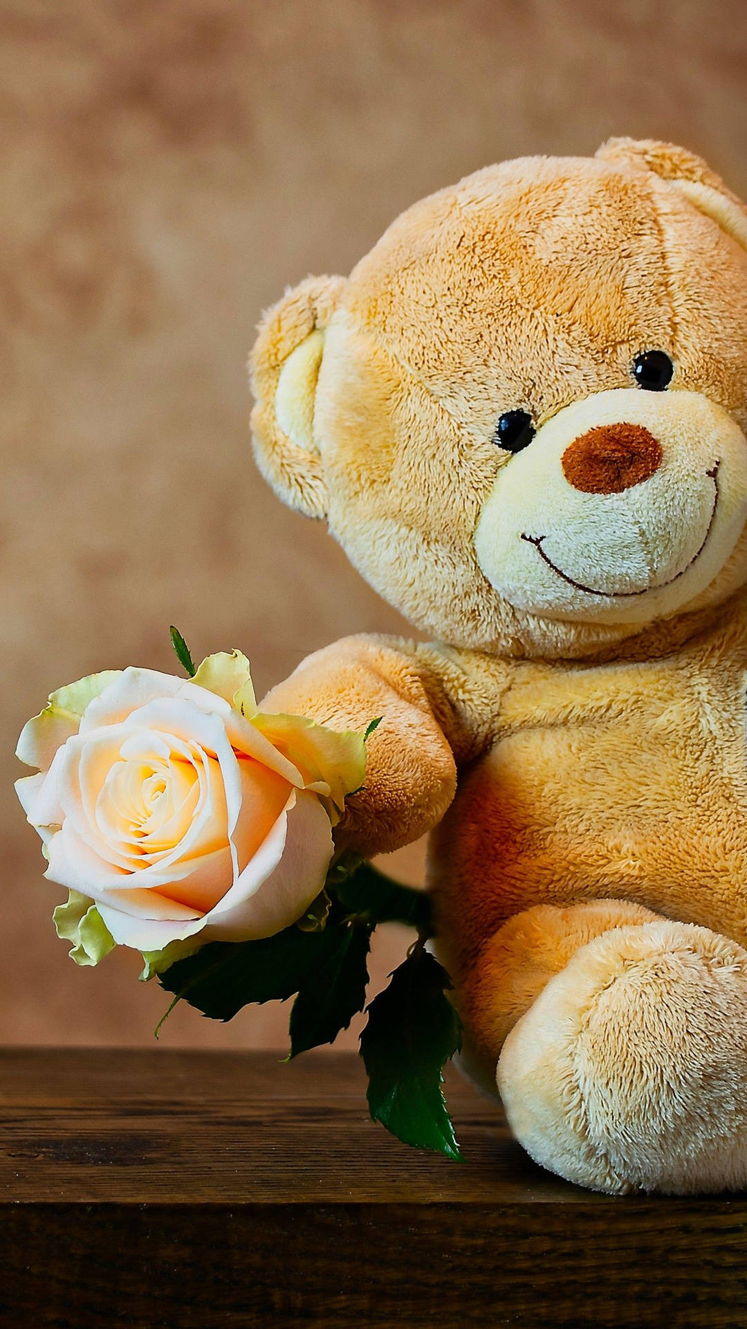 Yellow Teddy Bear With Rose Background