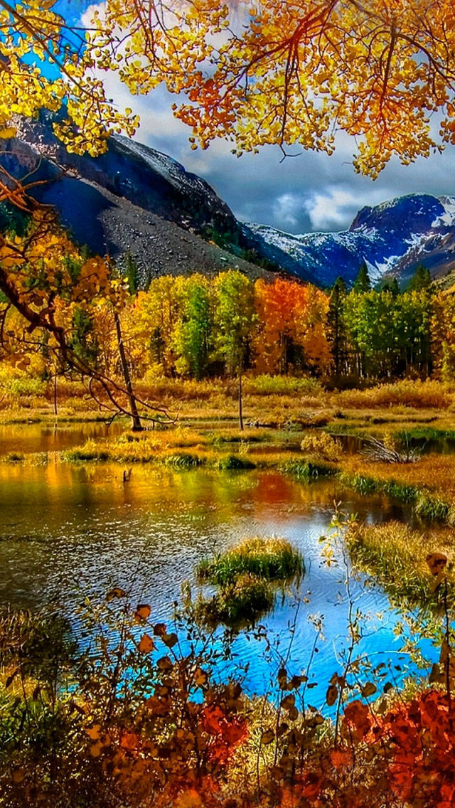 Yellow Trees And Mountain Fall Iphone Background