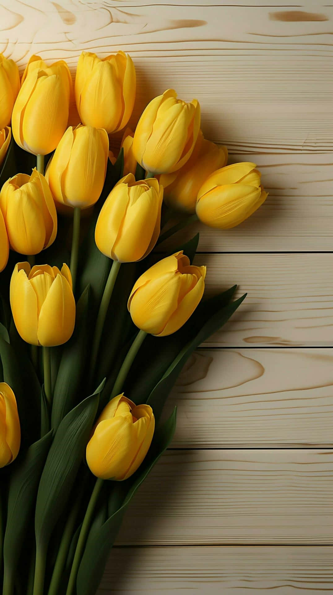 Yellow Tulips Wooden Background Background