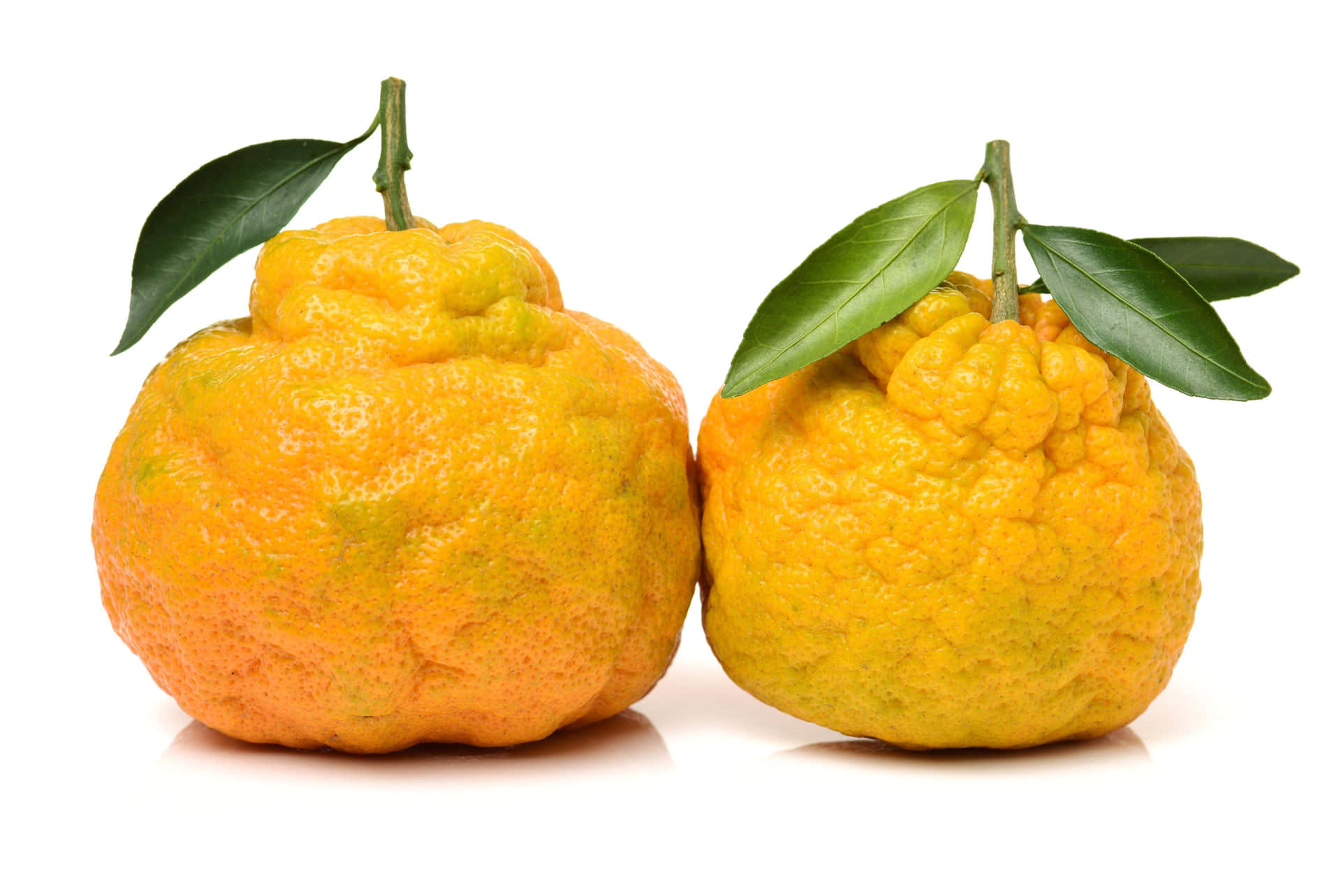 Yellow Ugli Citrus Fruits With Leaves Background