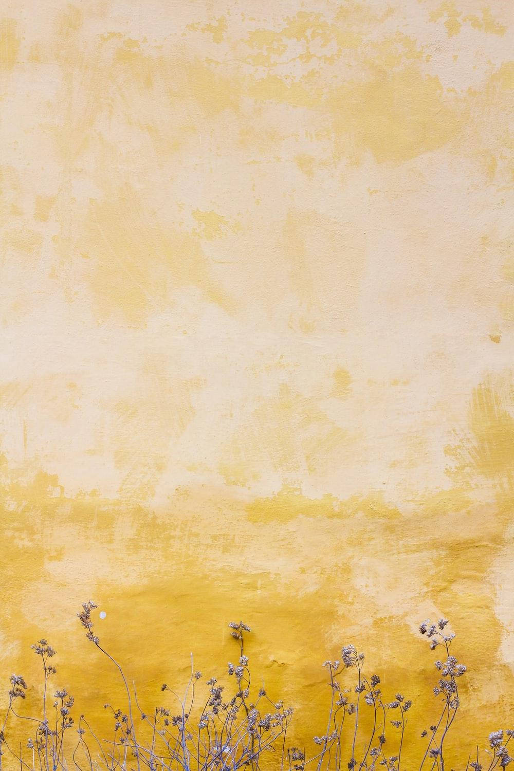 Yellow Vintage Aesthetic Painting Background