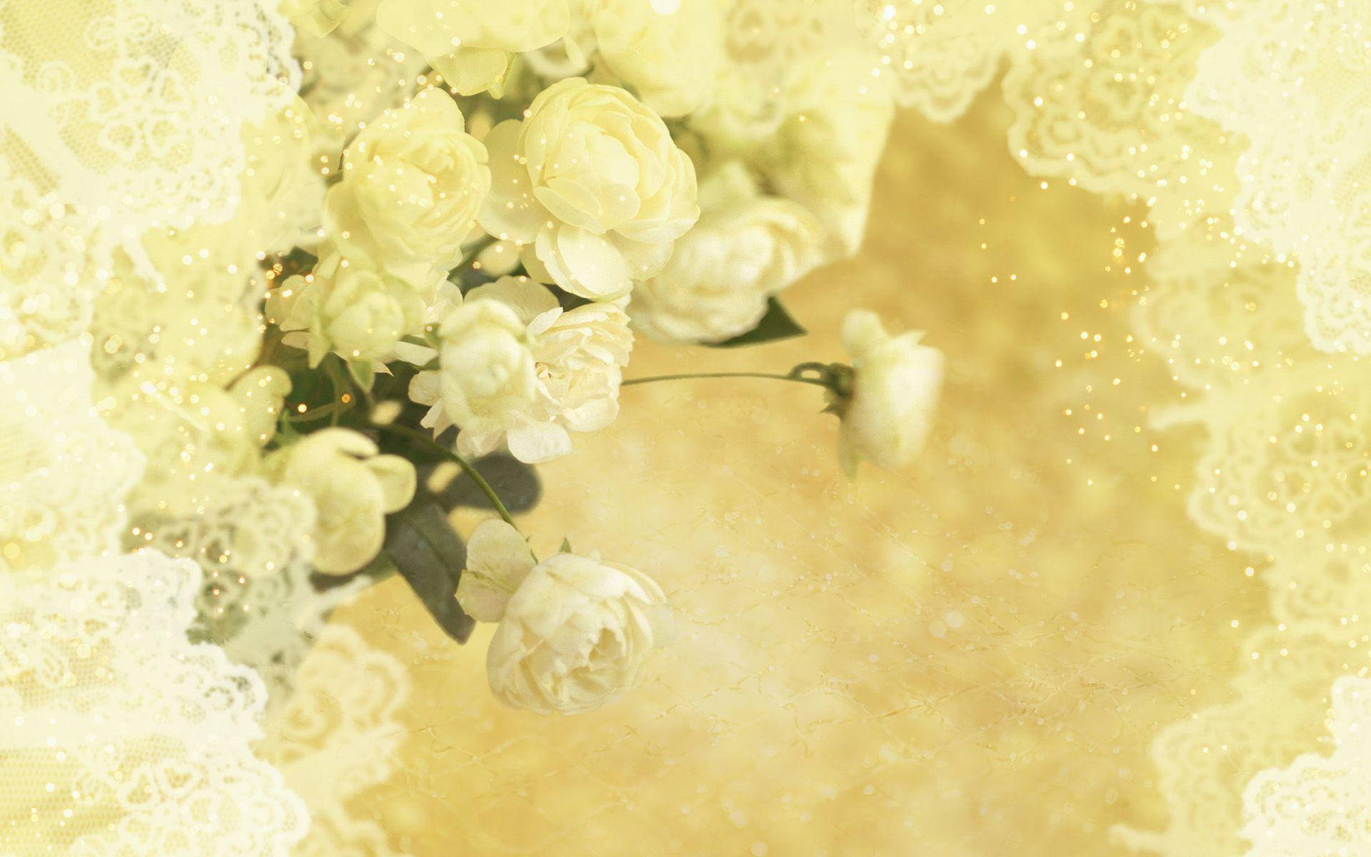 Yellow Wedding Roses Background