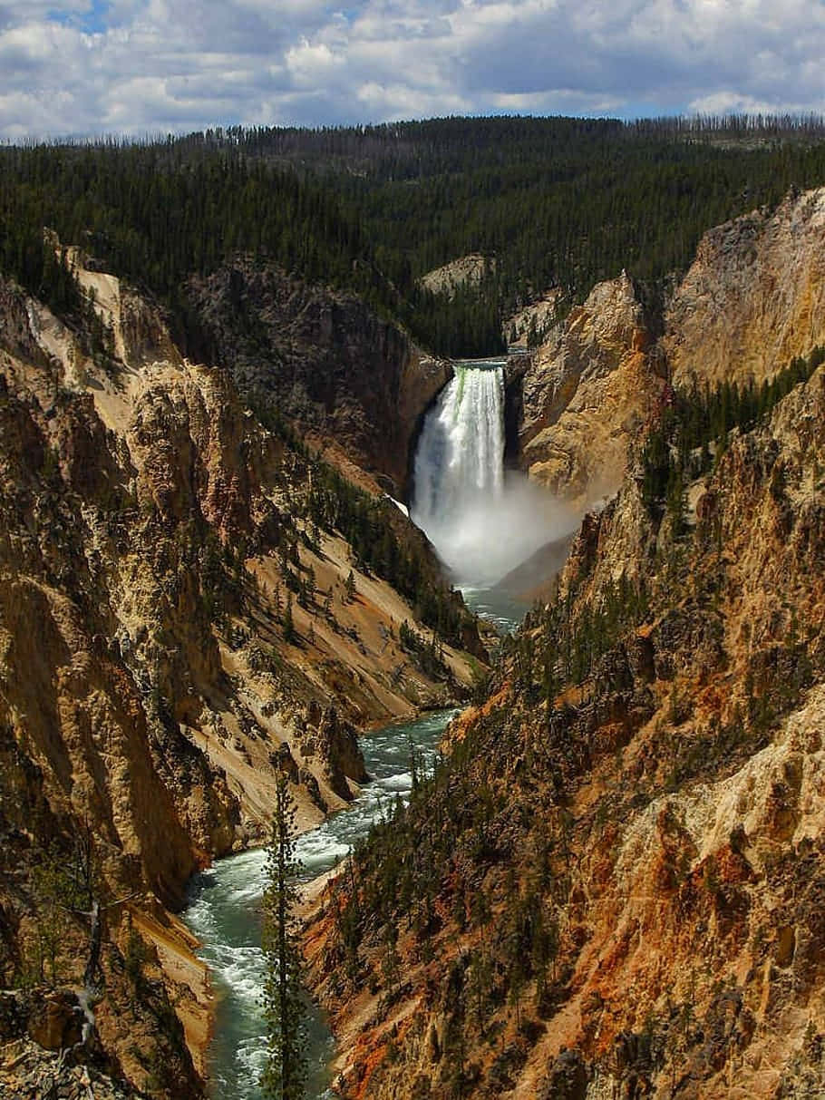 Yellowstone Falls, Yellowstone National Park Background