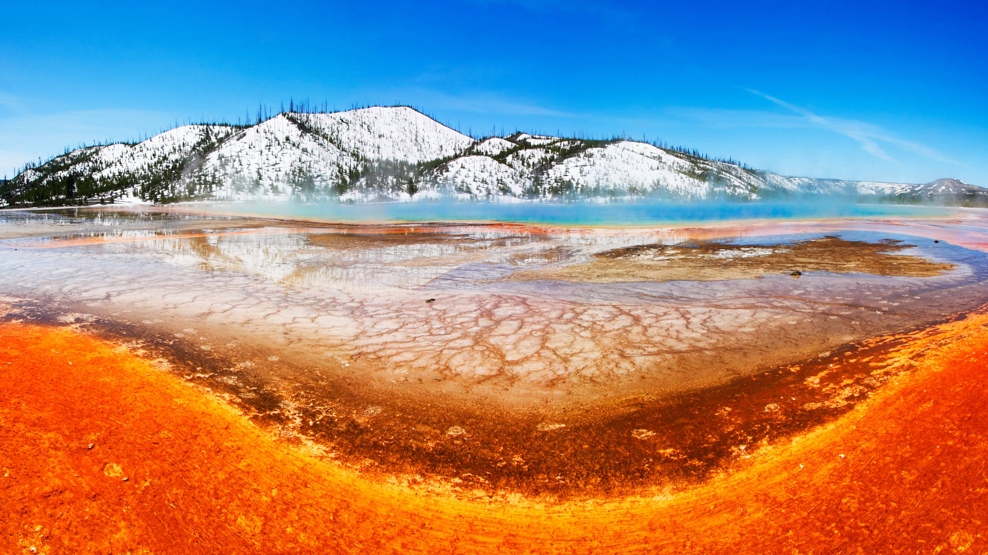 Yellowstone National Park Chromatic Spring Background