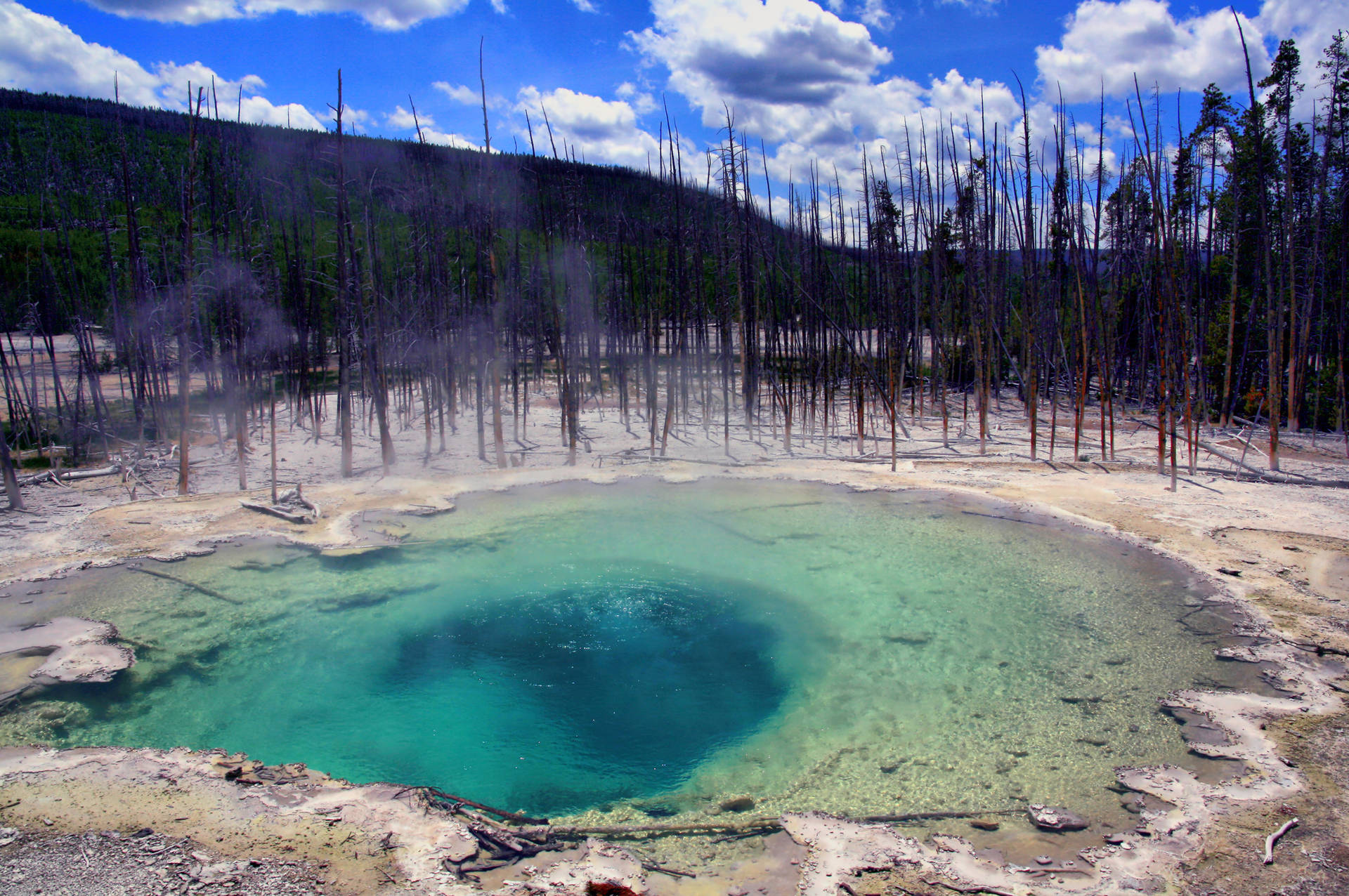 Yellowstone National Park Cistern Spring Background