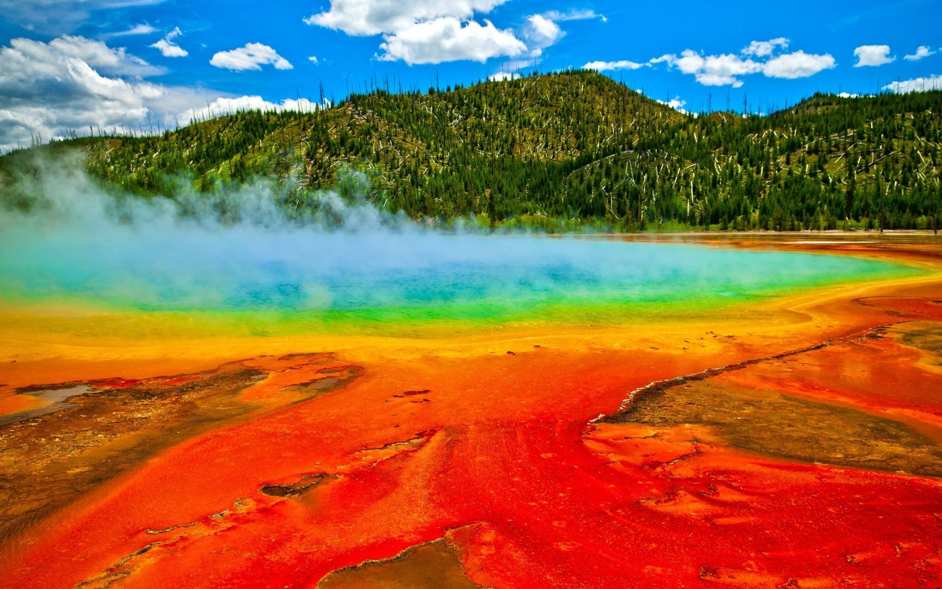Yellowstone National Park Colorful Spring Background