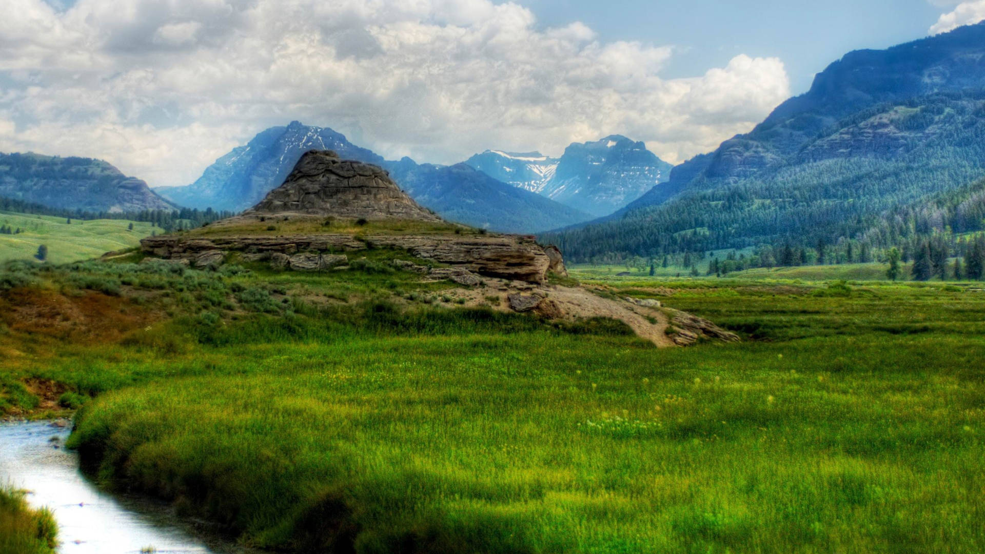 Yellowstone National Park Creek Background