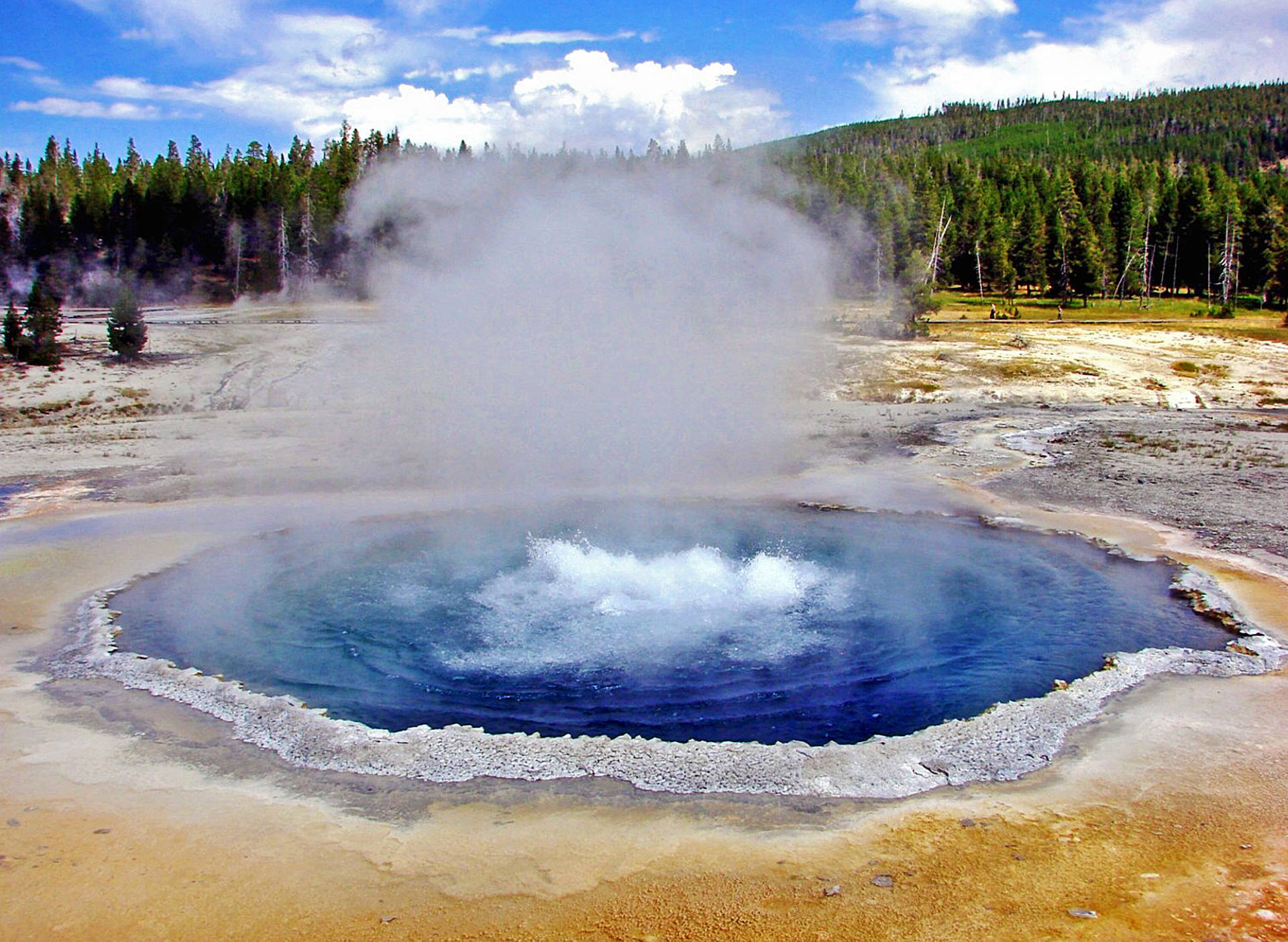 Yellowstone National Park Crested Pool Background