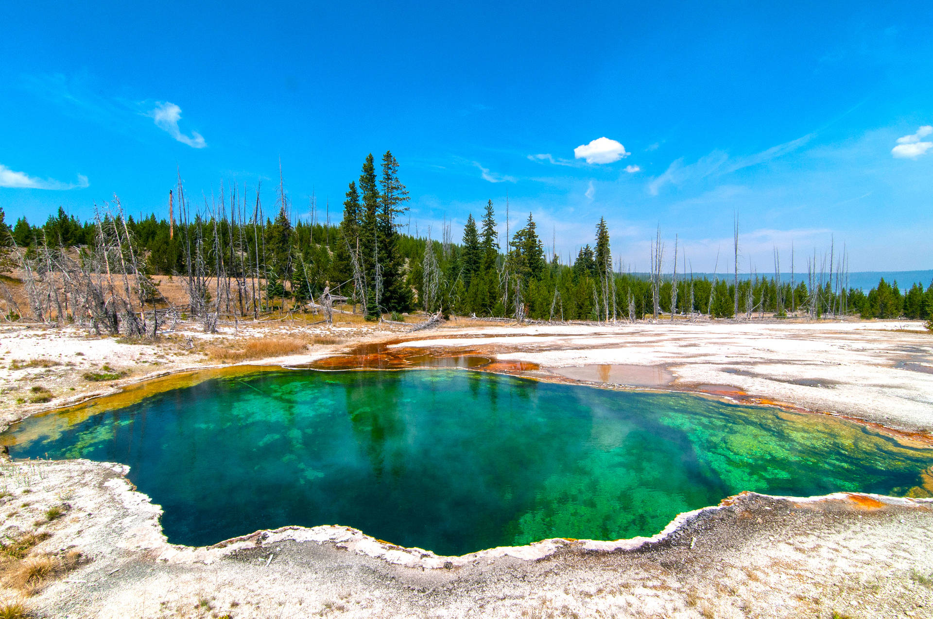 Yellowstone National Park Emerald Pool Background