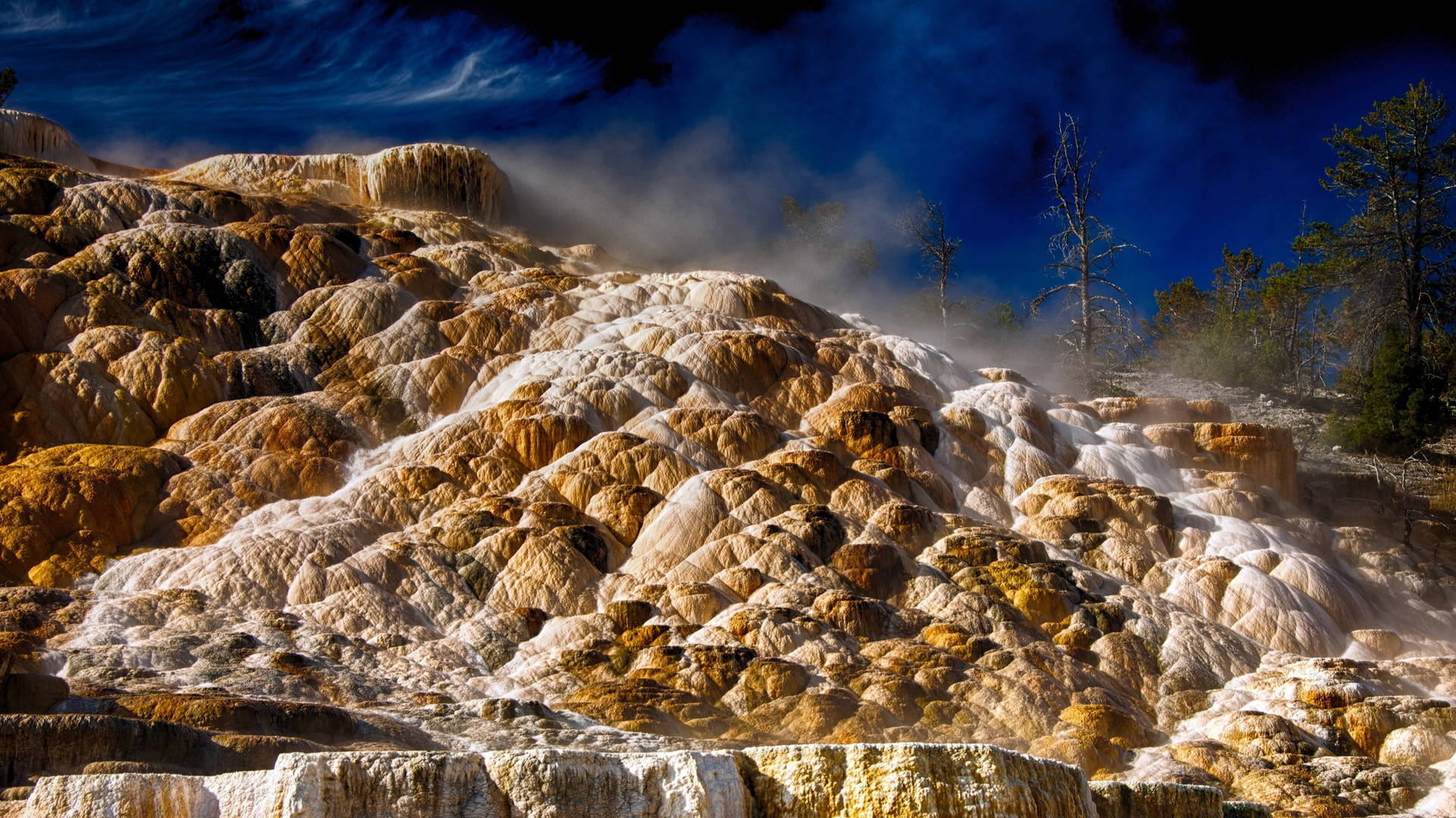 Yellowstone National Park Mammoth Springs Background