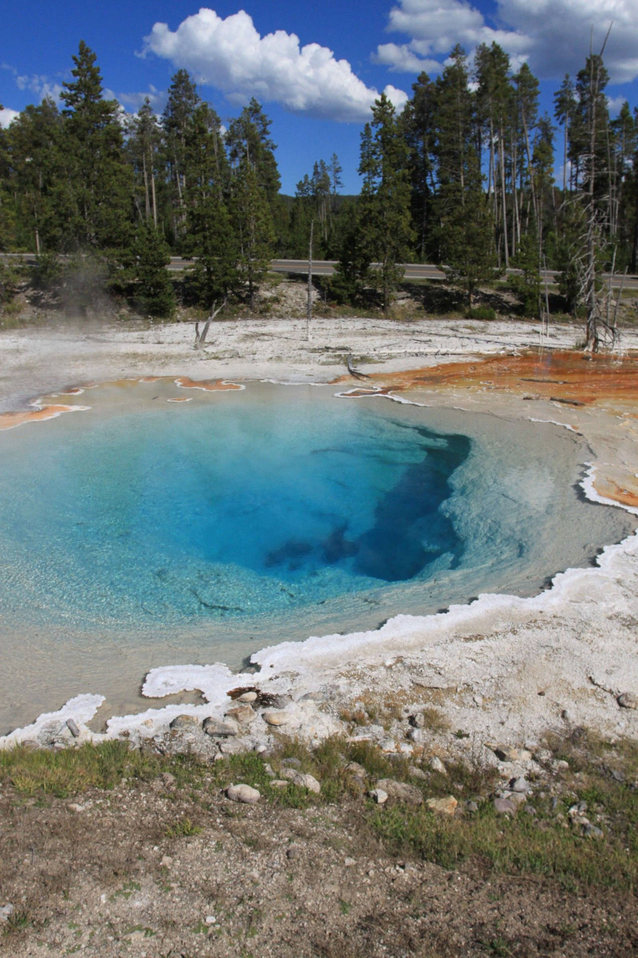 Yellowstone National Park Silex Spring Background