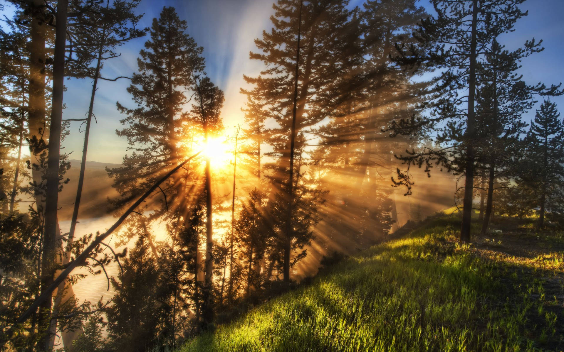 Yellowstone National Park Sunrays Background