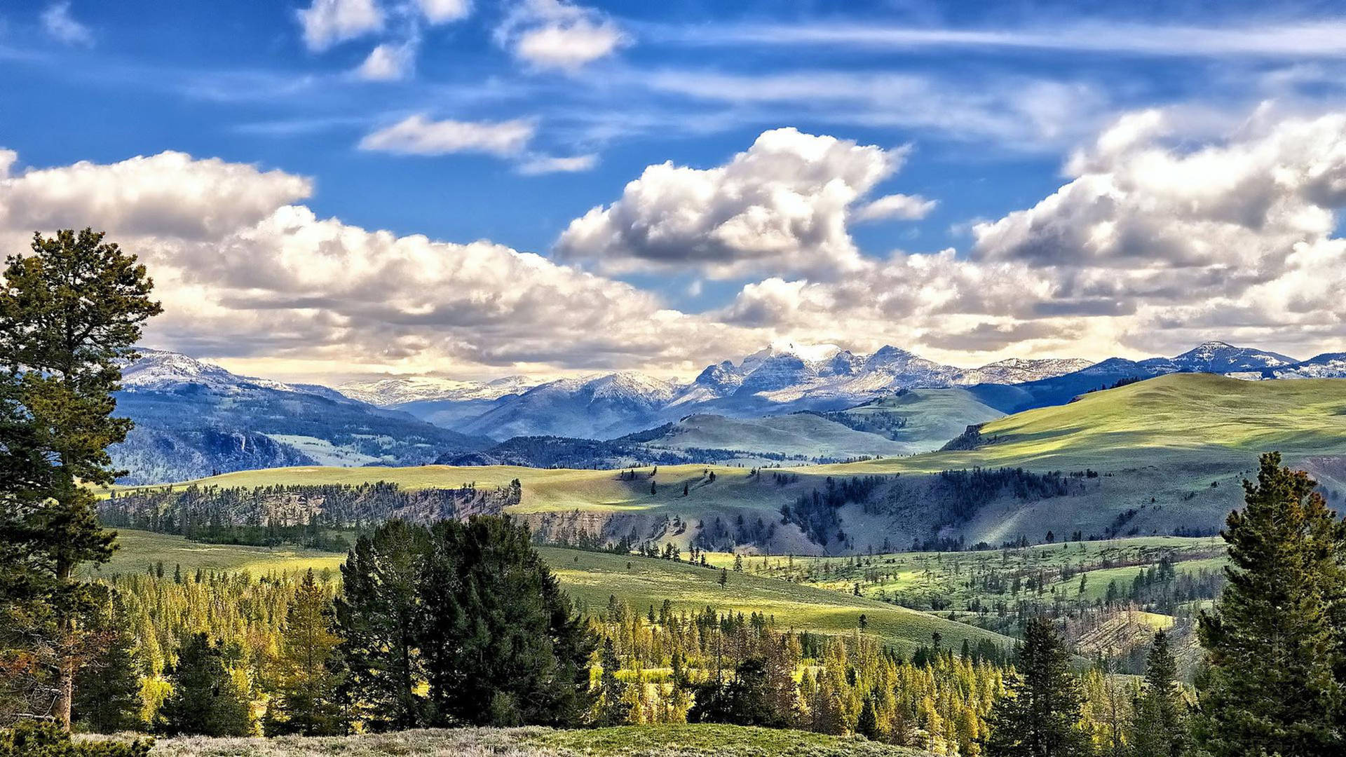 Yellowstone National Park Valley Background