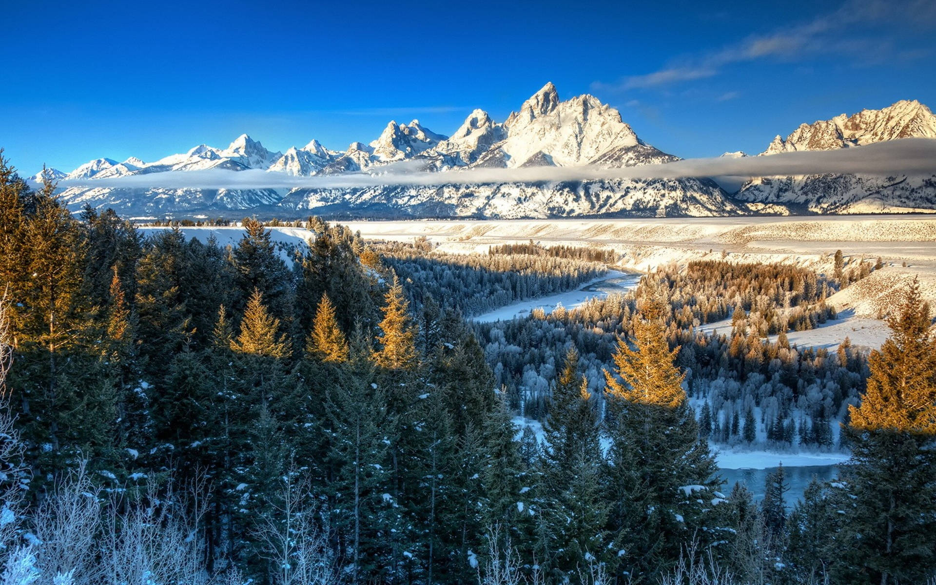 Yellowstone National Park Winter Landscape Background