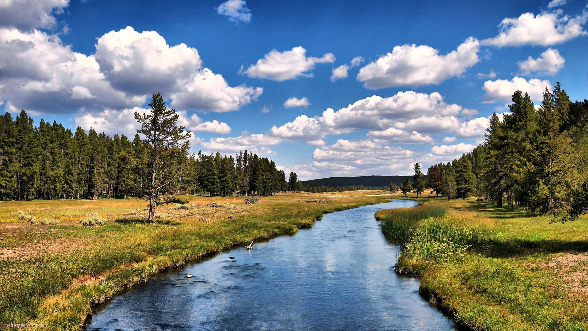 Yellowstone River Nature Photography