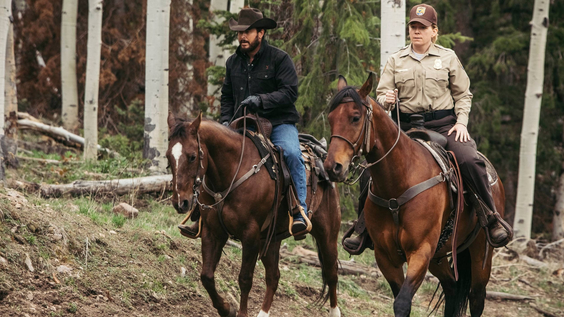 Yellowstone Tv Show Rip With Ranger