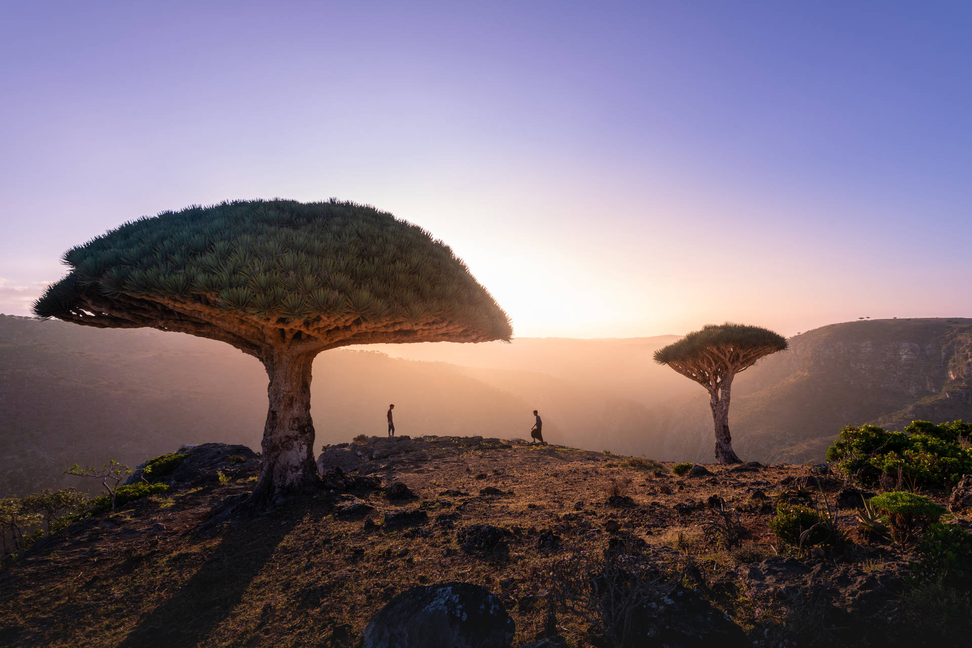 Yemen Socotra Archipelago Background