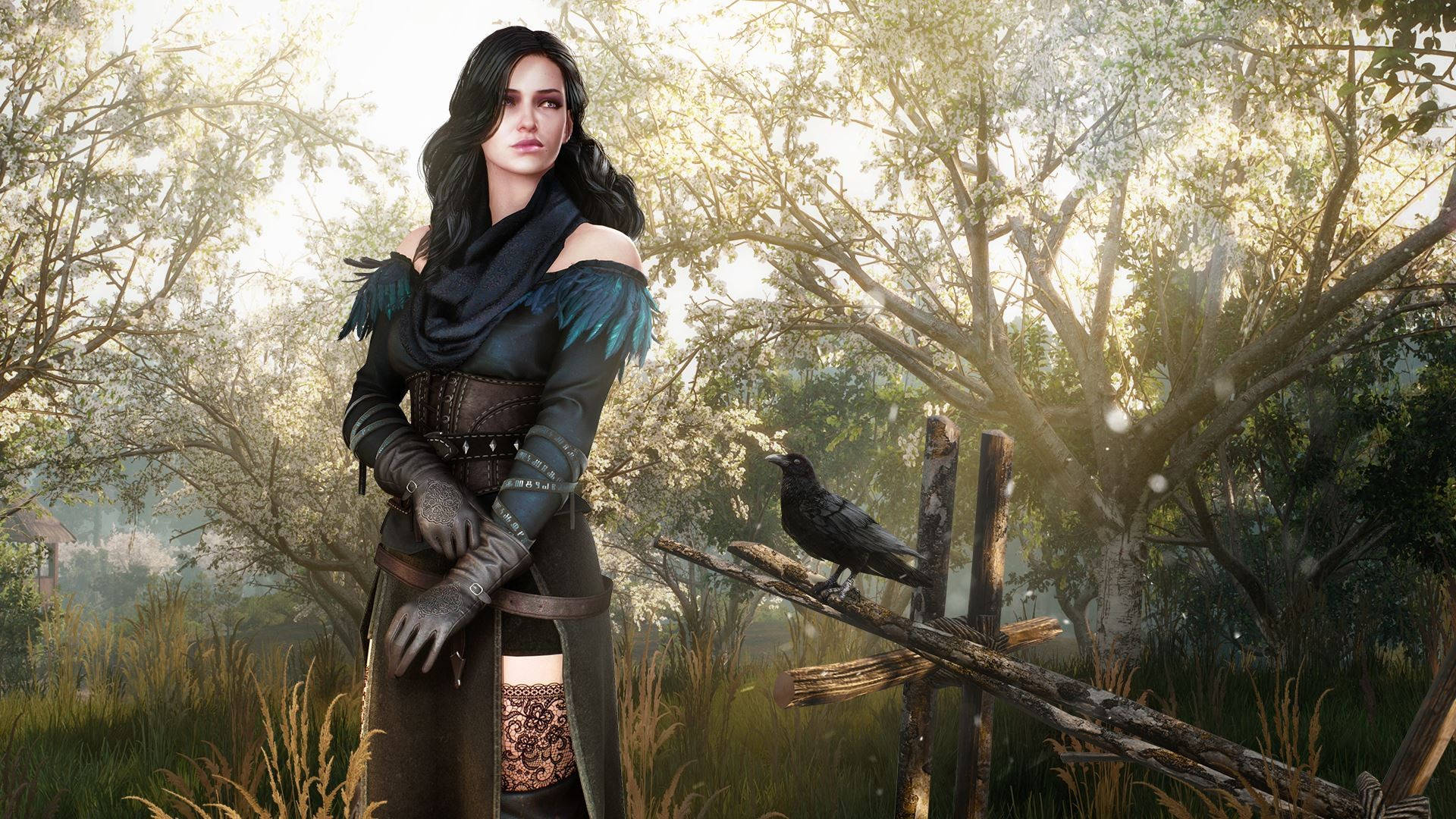 Yennefer The Witcher 3 Background