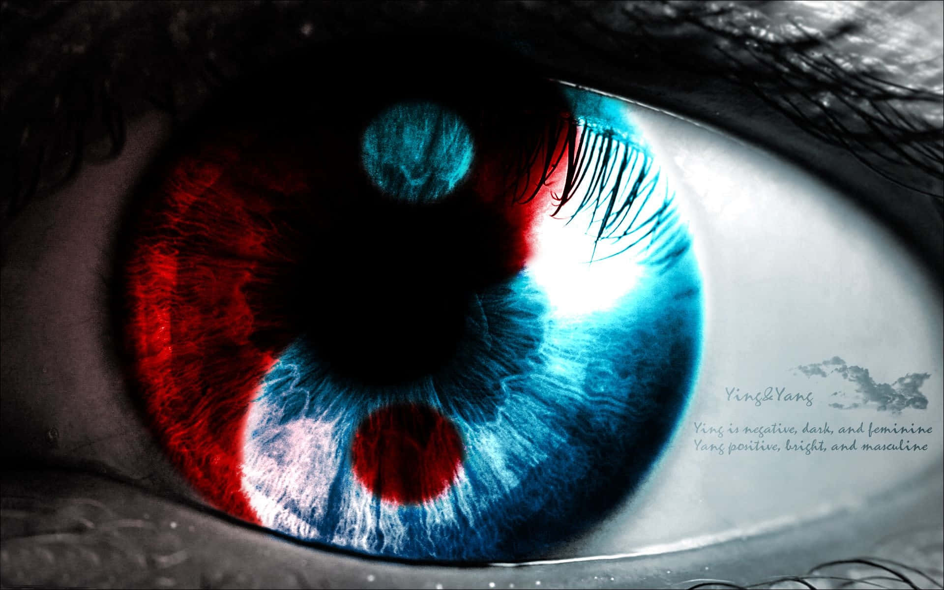 Yin Yang 4k Red And Blue Eye Closeup